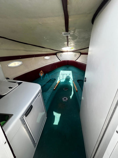 Chris Craft 258 Concept